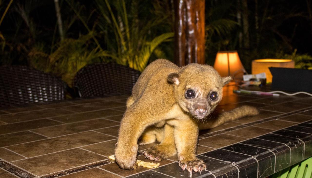 Lodge Margouillat タンボール エクステリア 写真